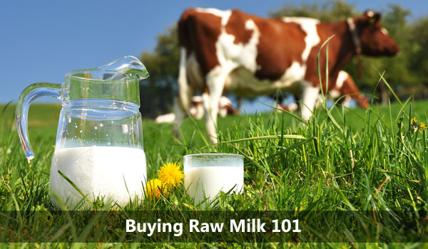 raw milk, FDA, crunchy mom, dairy, animal diet, E.coli, crunchy, milk, health, crunchy moms, pasteurization, health, organic, cows, regulations, dietary