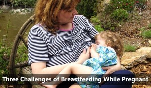 Three Challenges Of Breastfeeding While Pregnant Crunchy Moms